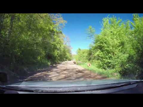 Coșarii - Labașinț - Șiștarovăț, Arad / Timiș, România  [2021] | 4K