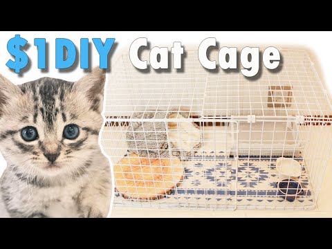$1 DIY Cat Cage |  DAY1-2