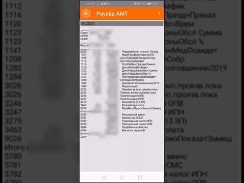 Payslip AMT video thumbnail