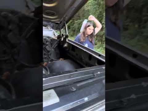 1979 Chevrolet K-10 (CC-1779879) for sale in Carrollton, Georgia