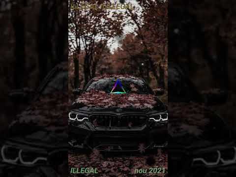 ILLEGAL - ILLEGAL îi ILLEGAL