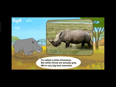 meet the animals 36-40