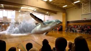Whale Surprise Jumps into a Gym in Mixed Reality (Exciting) by Magic Leap