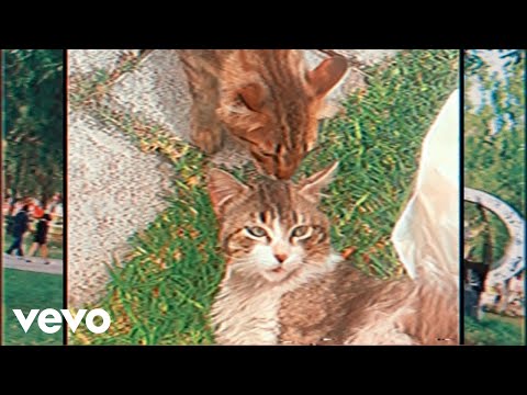 Phyzh Eye, Alexander Vera - Te deseo lo mejor (Video Oficial)