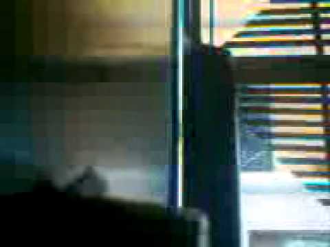 ha ha ha production de beliu