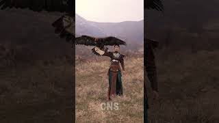 Download lagu Chinese lady trains an eagle as her hunting partner in NW China mp3