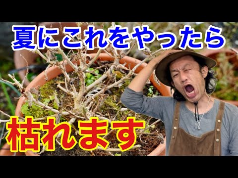 スイミングプールの水のメンテナンス塩素処理