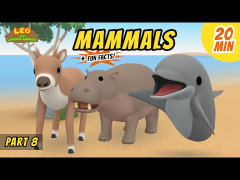 Witness21 Editor  2021 01 23