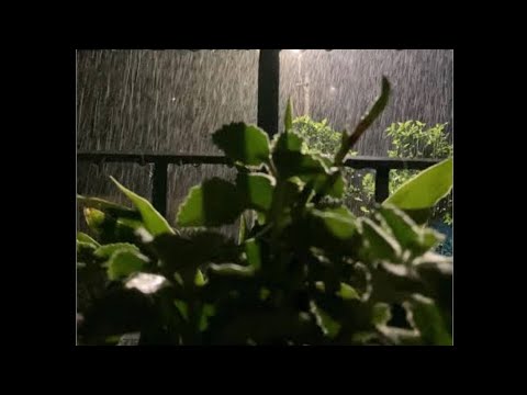 D8 x Hasan Shah_ Bheegi Raatein (Rainy Nights) | Official Slowed and Reverb Video