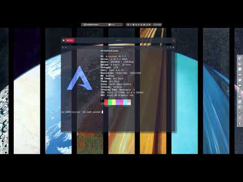 ArcoLinux : 325 use peek (animated gif) to show what is going on your system