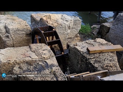 Riacho Taninim, Israel   Cafetorah com