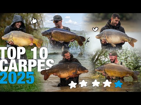 Les 10 plus belles captures de carpes de 2025 🎣