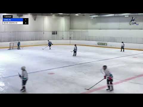 2021.01.02 LEHEL HC - WHITE SHARKS HC U14/B 1.harmad