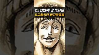 밀짚모자 일당의 마지막 퍼즐, 드디어 '자연계' 대장 들어옵니다