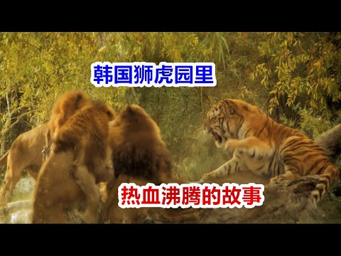 強虎