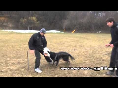 Grace Vikar - protection,  7 months