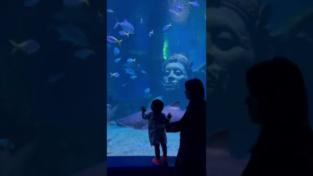 YouTube Short thumbnail