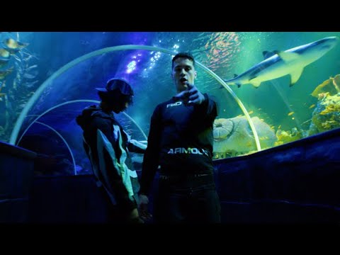 Ares & Bizi - Just tollee (Musiikkivideo)