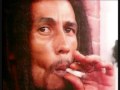 Bob Marley and The Wailers - Burn Down Babylon ...