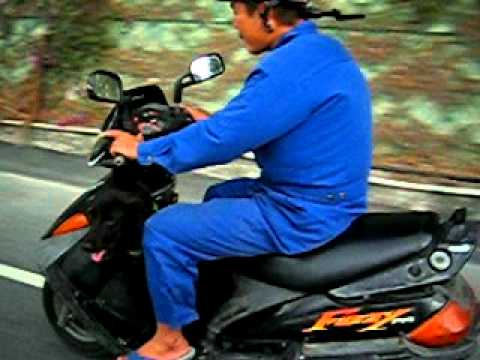 2 passengers on bike