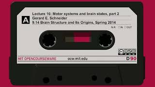 16. Motor systems and brain states, part 2
