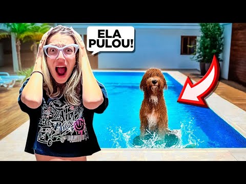 ELA PULOU NA PISCINA! PRIMEIRO BANHO DE PISCINA DA NOSSA CACHORRINHA MAYA