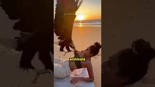 Animais que mexeram com quem não Deviam #curiosidades #bichos #animais