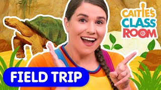 Let’s Learn About Reptiles 🐍 | Meet a Tortoise! | Learn Adjectives! | Super Simple Play