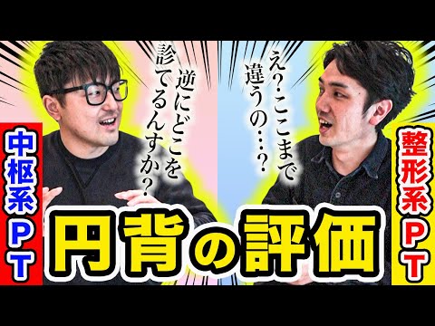 犬の理学療法 – それは何で、いつ行うべきか