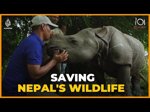 The real story behind Nepal’s wildlife conservation success | 101 East Documentary