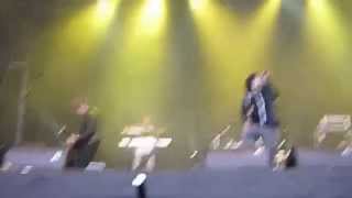 Jaya the cat - Night Bus