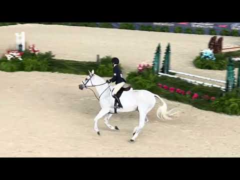 Winning 3'3" Large Junior Hunter 16-17, Pennsylvania National Horse Show 2023