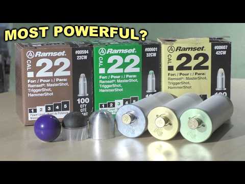 Taofledermaus Demonstration