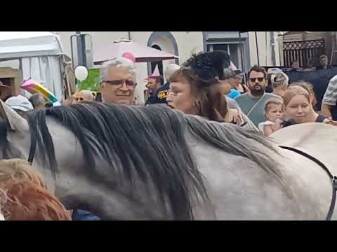 - Chassepierre, Festival International des Arts de la Rue, cuvée 2023