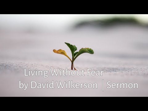 Living Without Fear - David Wilkerson