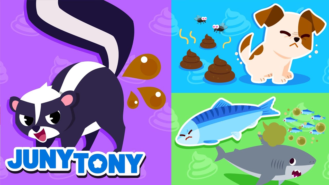 💨 Puns dos Animais 💩 Cocôs Divertidos | Curiosidades 🔎 Música Infantil | JunyTony em Português