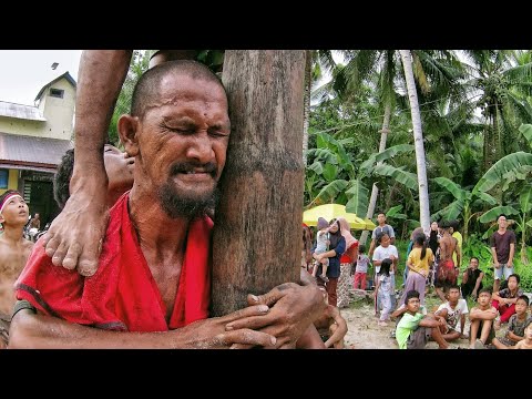 Lomba Panjat Pinang Paling Seru !!! 17 An di Pangkalan Darat