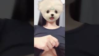 Download lagu Trend Tiktok Terbaru Buka Baju - viral 2022 mp3 Download lagu Trend Tiktok Terbaru Buka Baju - viral 2022 mp3