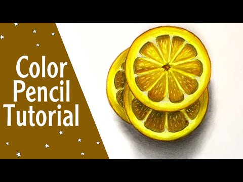 How To Draw Lemon Slices | Color Pencil Tutorial