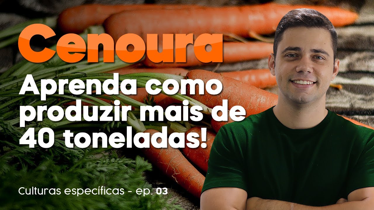 CENOURA - aprenda como produzir mais de 40 toneladas - CULTURAS ESPECÍFICAS #03