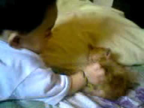 abubakar play with cat