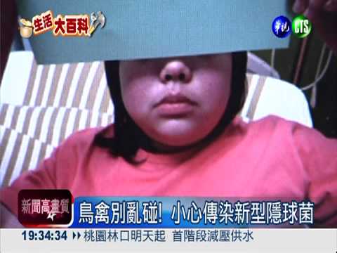 左膝腫脹痛半年 竟染新型隱球菌