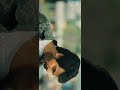 Takkunu Takkunu Song 4k 60fps Full Screen Hd Whatsapp Status