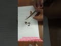 How to roll joint ගංජා සුරුට්ටුවක් නිවැරැදිව ඔතා ගන්නා විදිය