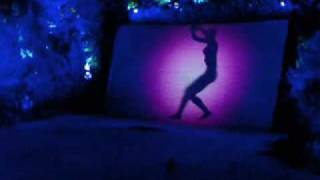 Lake Show at the Wynn Las Vegas - Mountain Dulcimer