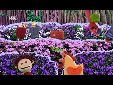 Pjesmice i brojalice - Okoš bokoš