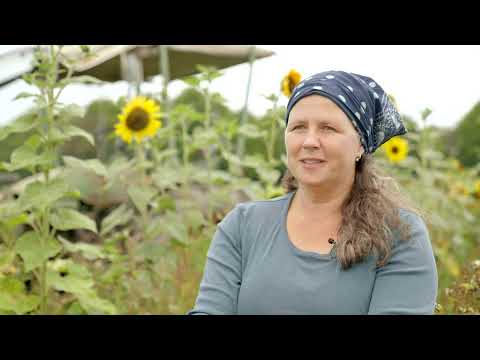 Sich die Ernte teilen - Solidarische Landwirtschaft auf dem Dollingerhof