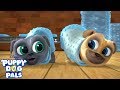 Bubble Wrapped! | Music Video | Puppy Dog Pals | Disney Junior