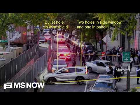 Analysis of ICE shooting scene raises questions about official story