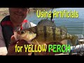Using Artificial Lures for Perch